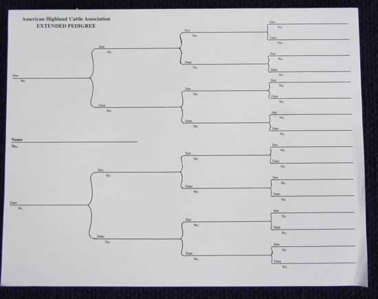 Five Generation Pedigree Pad