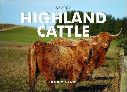 Spirit of Highland Cattle