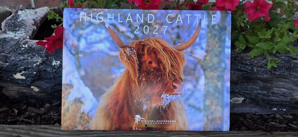 2027 Calendar